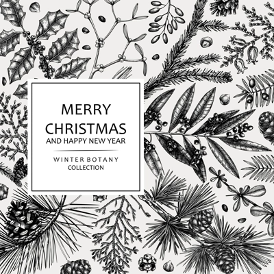 Merry Christmas card. Square frame with evergreen plants, conifers, and nuts drawing. Winter design with hand-drawn botanical illustrations. Christmas background, New Year invitation template